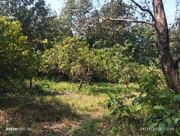  Land – Garden View at Ambarnath Jaihind, Ambernath - for Sale