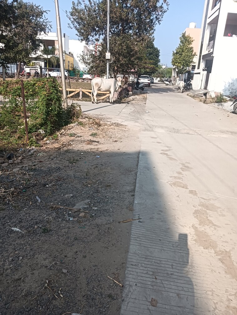 Exterior View, baghmugalia  900 Sq.Yd. Plot In Baghmugalia Bhopal 9687638