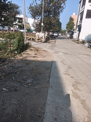  Plot – Exterior View View at Baghmugalia - for Sale