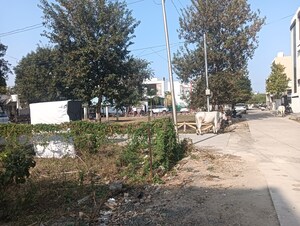  Plot – Exterior View View at Baghmugalia - for Sale