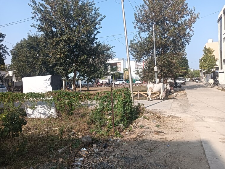 Exterior View, baghmugalia  900 Sq.Yd. Plot In Baghmugalia Bhopal 9687638