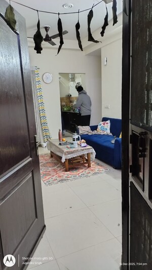 2 BHK Apartment For Rent in Aims Golf Avenue II, Sector 75