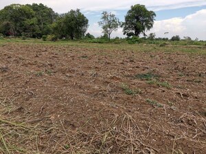 Plot Area in  Plot at Jewar – for Sale