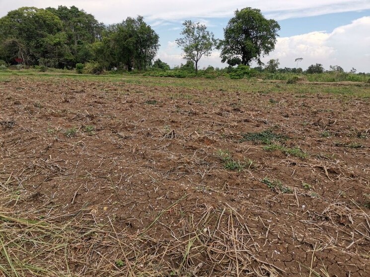 undefined, jewar  100 Sq.Yd. Plot In Jewar Greater Noida 9687668