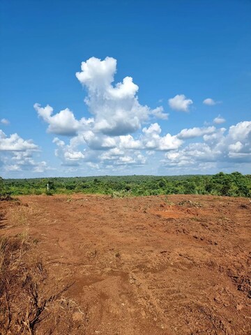 Plot Area in  Plot at Jewar – for Sale