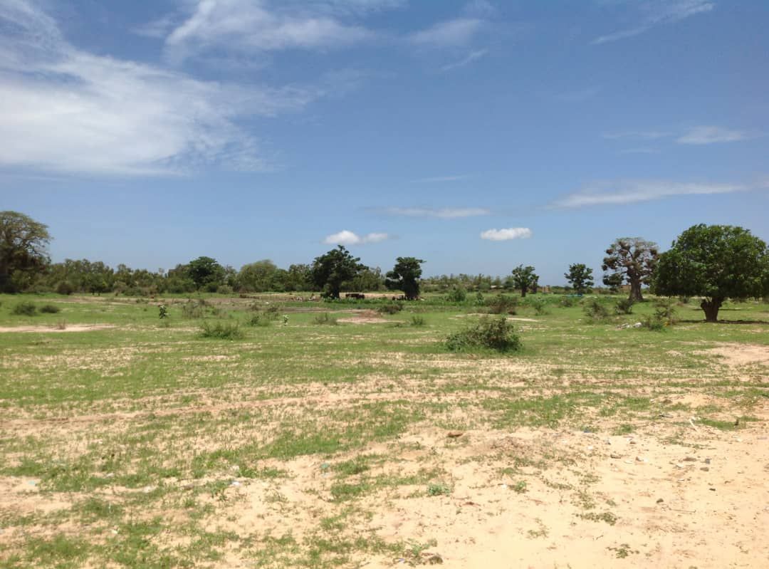 Plot For Sale in Jewar