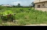 213 Sq.Yd. Plot in Badripur