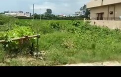 Plot For Sale in Badripur