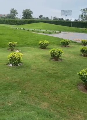  Plot For Sale in Morni