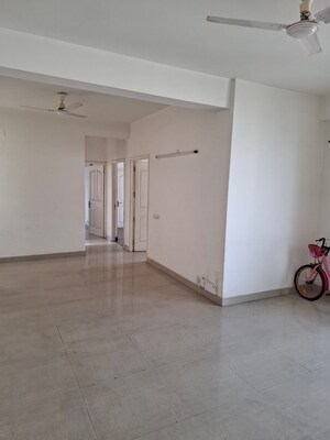 Room in 3 BHK Apartment at Tulip Petals, Sector 89 – for Rent