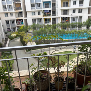 3 BHK Apartment For Rent in Casagrand Lorenza, Agrahara Badavane