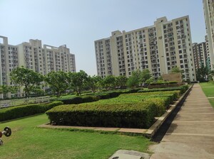 3 BHK Builder Floor – Exterior View View at Unitech The Residences Sector 33, Sector 33 - for Rent