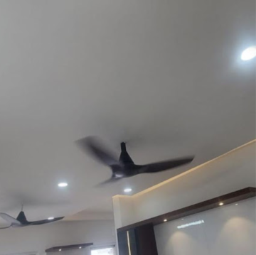 2 BHK Apartment For Rent in Sobha Dream Gardens, Kannur