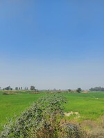 2 Acre Land in Commercial 