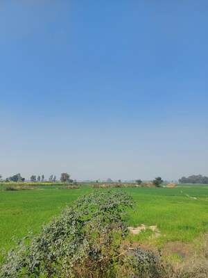  Land For Sale in DelhI- Mathura Highway