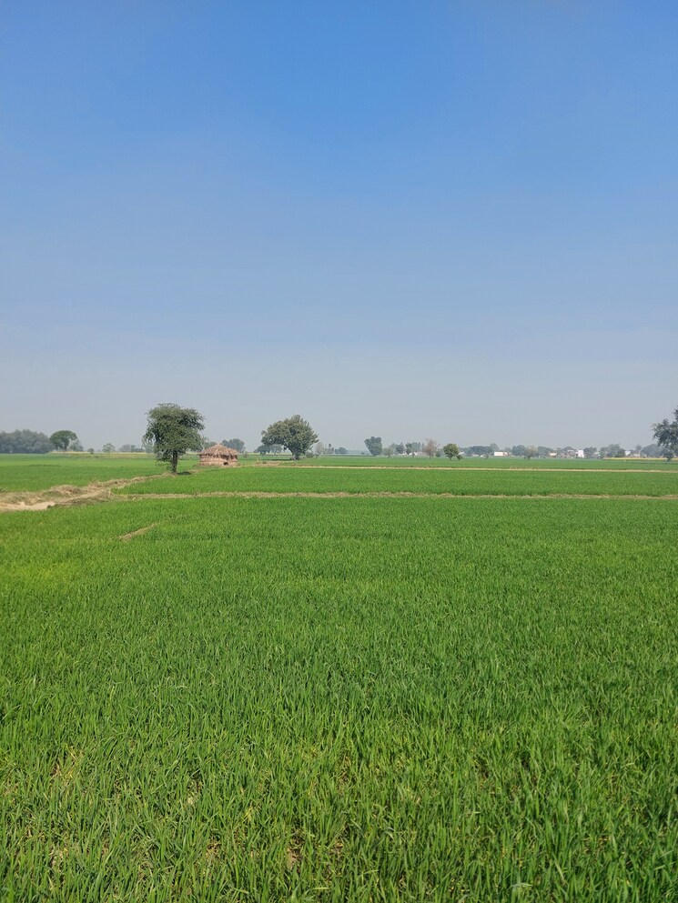 Garden, delhi mathura highway Commercial Land 2 Acre In DelhI  Mathura Highway Mathura 9688537