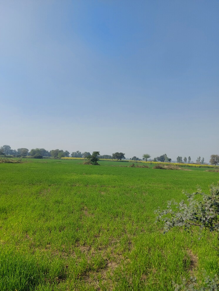 Garden, delhi mathura highway Commercial Land 2 Acre In DelhI  Mathura Highway Mathura 9688537