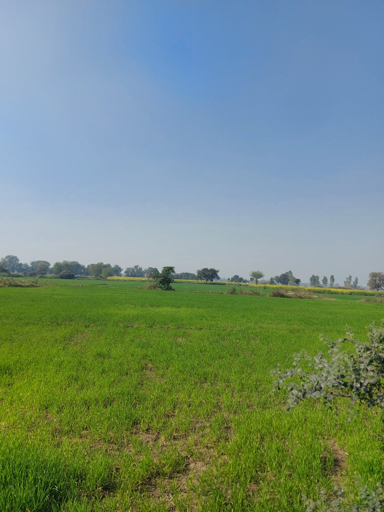 Garden, delhi mathura highway Commercial Land 2 Acre In DelhI  Mathura Highway Mathura 9688537