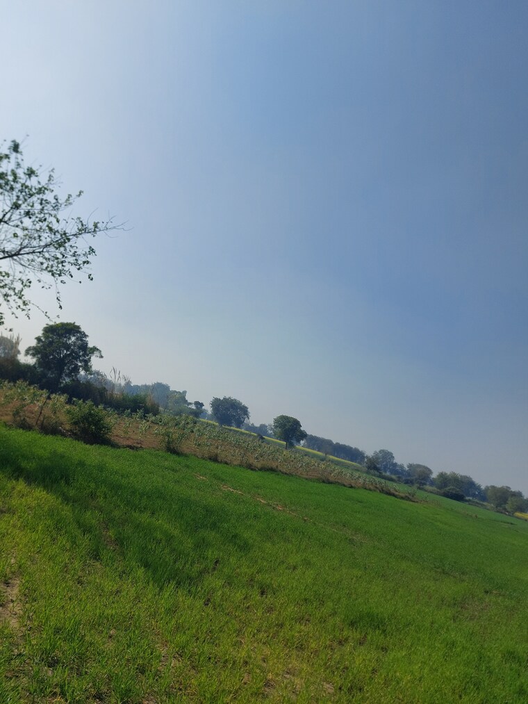 Garden, delhi mathura highway Commercial Land 2 Acre In DelhI  Mathura Highway Mathura 9688537