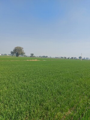  Land – Garden View at DelhI- Mathura Highway - for Sale