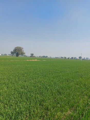Land for Sale in DelhI- Mathura Highway, Mathura