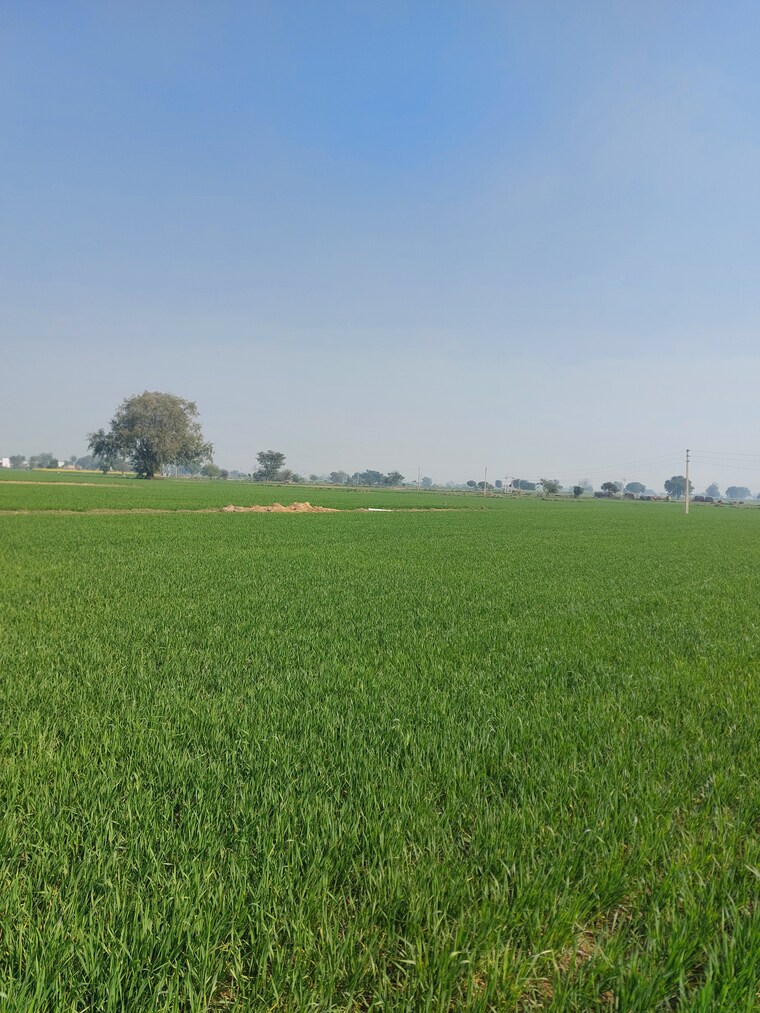 Garden, delhi mathura highway Commercial Land 2 Acre In DelhI  Mathura Highway Mathura 9688537