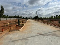 Plot For Sale in King Villa Plots 