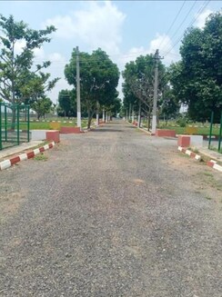 Plot For Sale in King Villa Plots 
