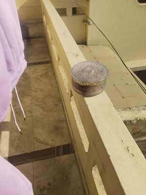 Balcony in 3 BHK Independent House at Sector 7 – for Rent