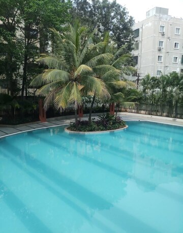 Swimming Pool in 2 BHK Apartment at My Home Jewel Agate Block, Madinaguda – for Rent