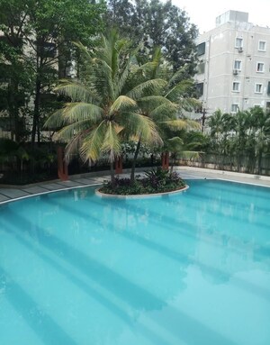 Swimming Pool in 3 BHK Apartment at My Home Jewel Agate Block, Madinaguda – for Rent