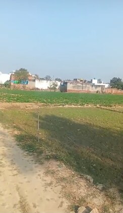 Plot For Sale in Jewar