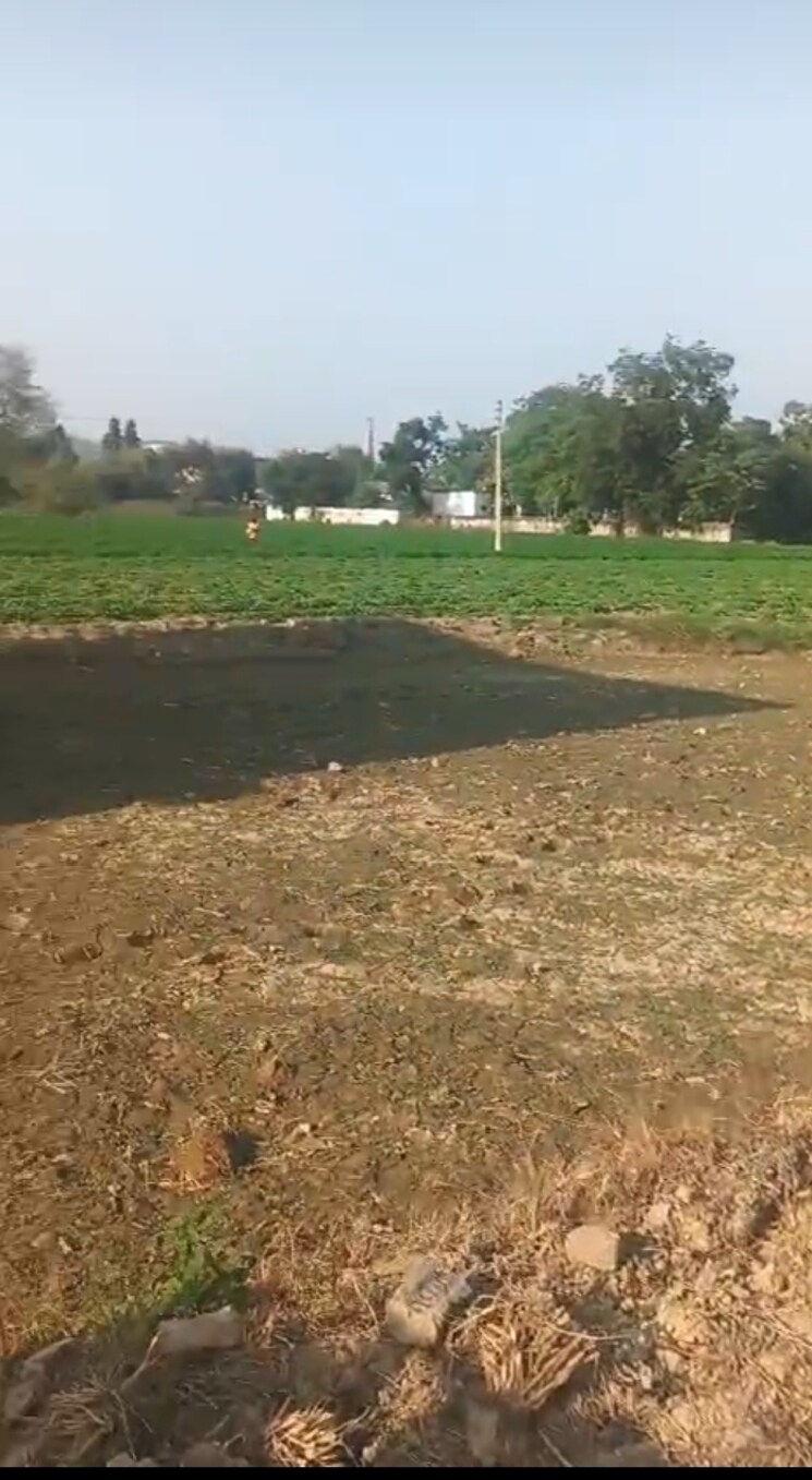 undefined, jewar  500 Sq.Yd. Plot In Jewar Greater Noida 9688997