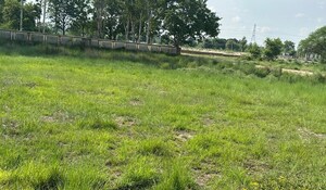 Plot Area in  Land at Faizabad Road – for Sale