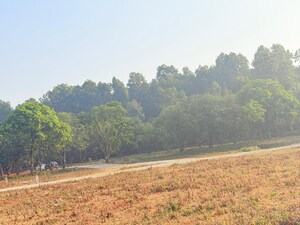 Plot Area in  Plot at Badripur – for Sale