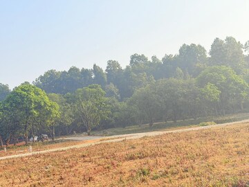 Plot Area in  Plot at Badripur – for Sale