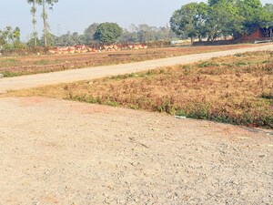 Plot Area in  Plot at Badripur – for Sale