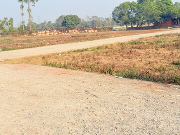 Plot Area in  Plot at Badripur – for Sale