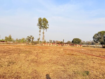 Plot Area in  Plot at Badripur – for Sale