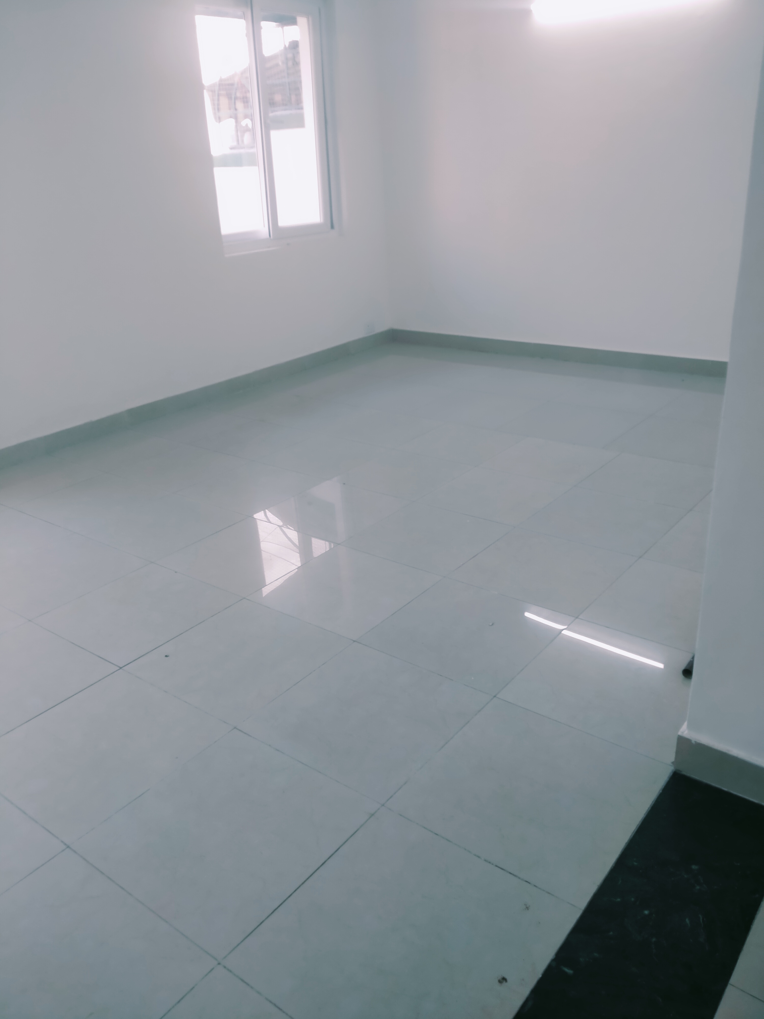 3 BHK + Servant Room,Study Room Apartment For Rent in Vipul Greens