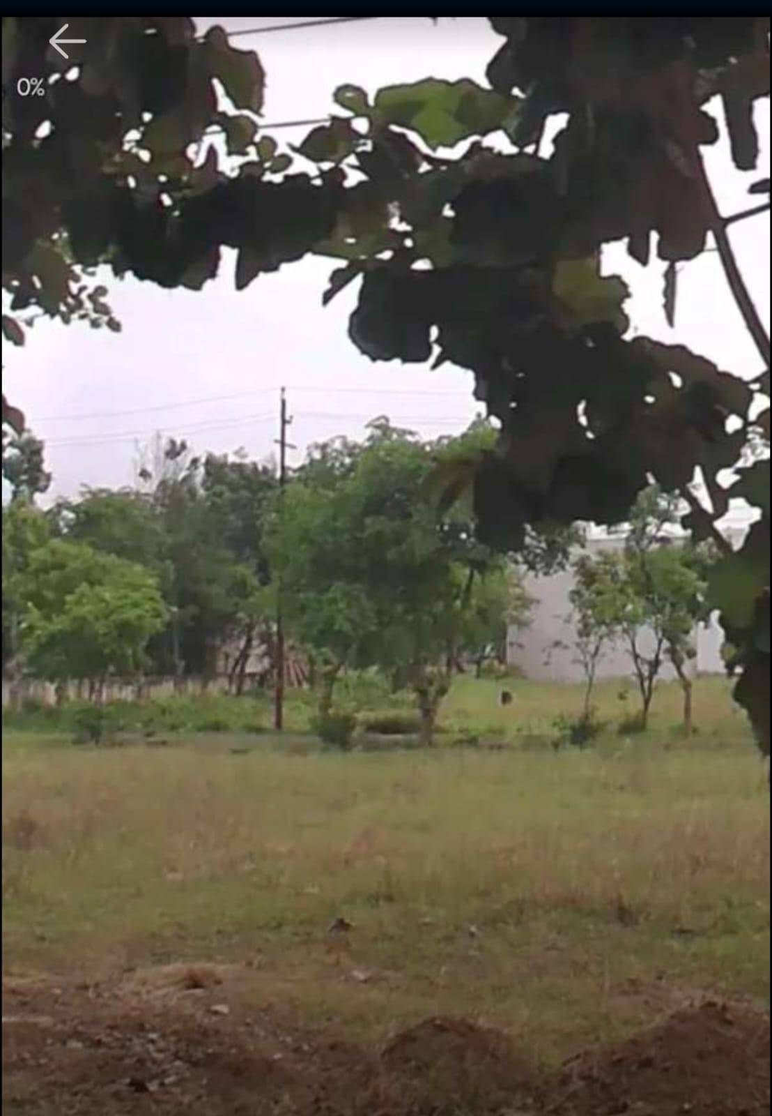 Plot For Sale in 200 Meter Plot, Sector 12