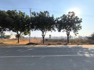 Plot Area in  Plot at Pataudi – for Sale