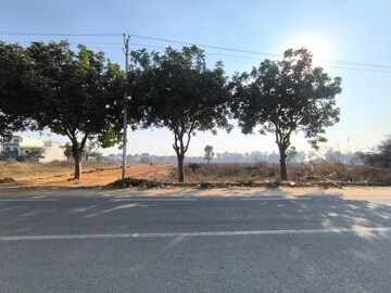 Plot Area in  Plot at Pataudi – for Sale