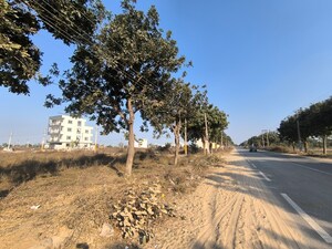 Plot Area in  Plot at Pataudi – for Sale