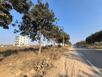 Plot Area in  Plot at Pataudi – for Sale