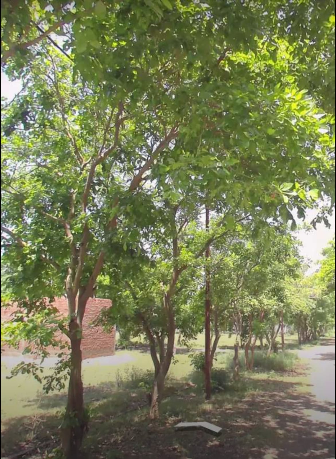 Plot For Sale in 301 Square Meter Plot, se