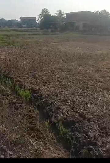  Land For Sale in Jui