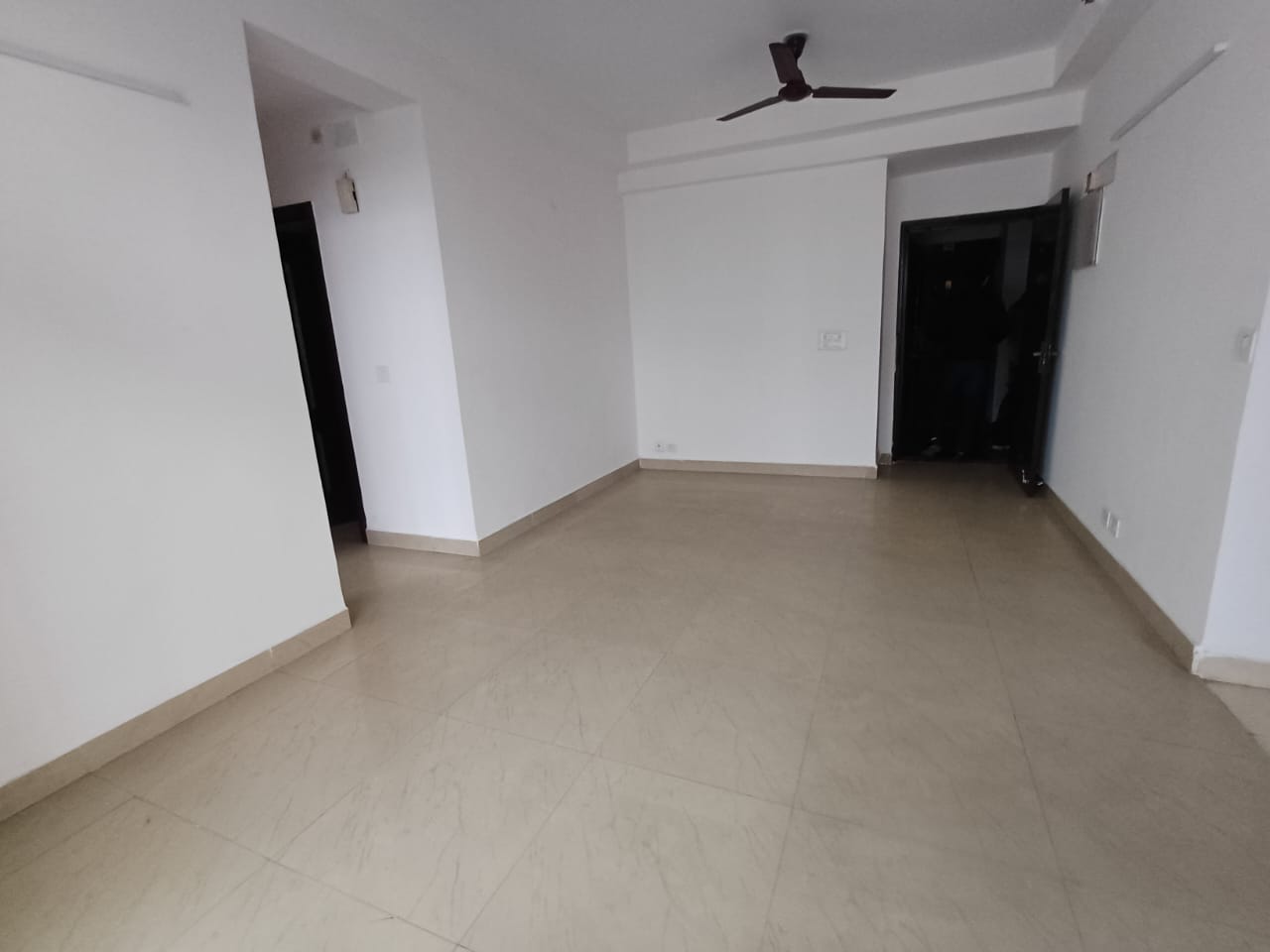 2 BHK Apartment For Rent in Amrapali Zodiac