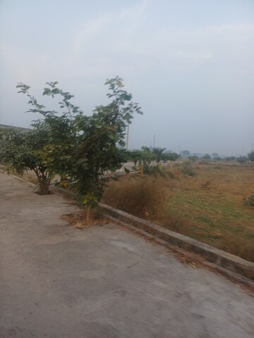  Plot – Exterior View View at Jewar - for Sale