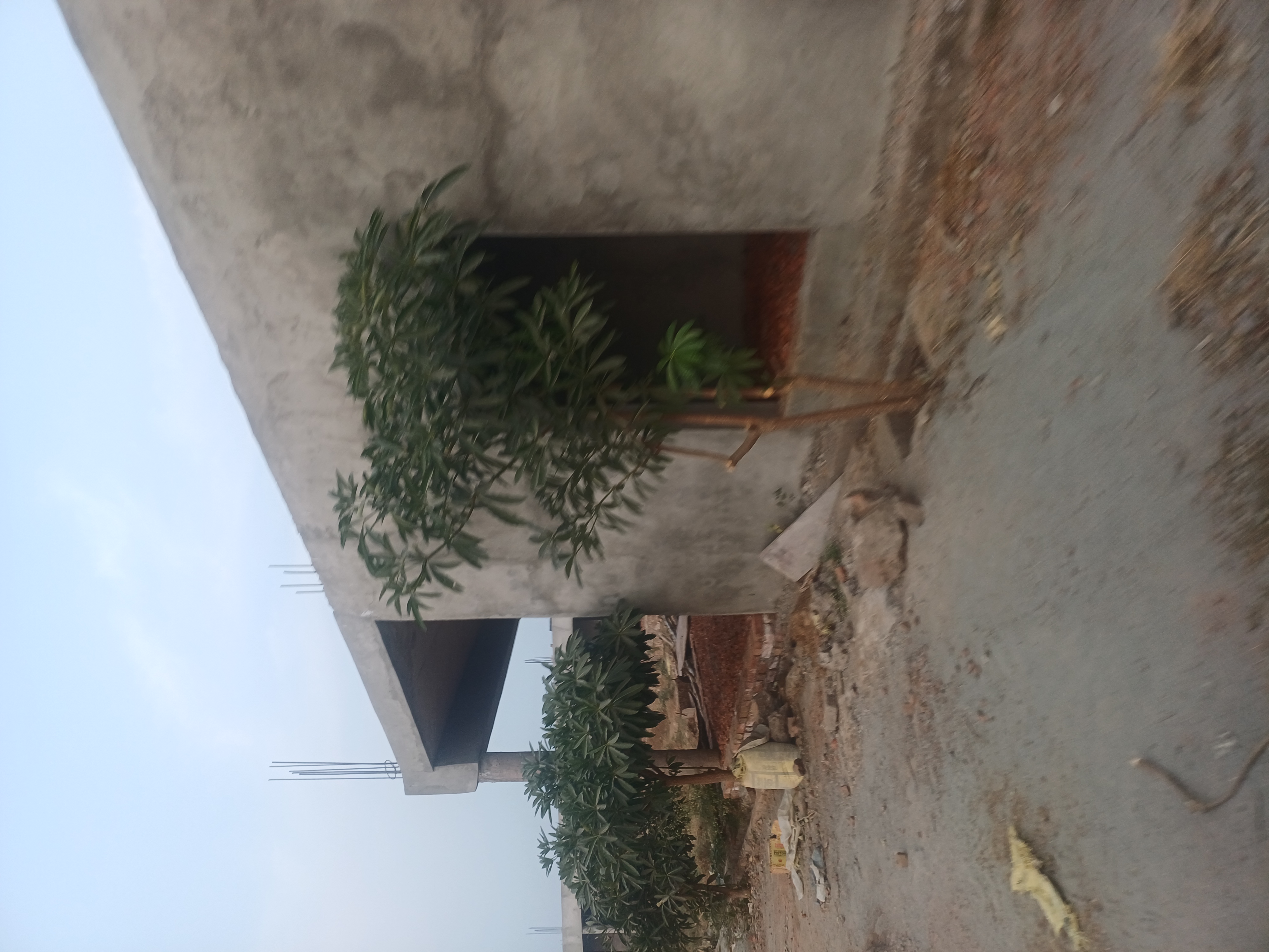 Plot For Sale in Jewar